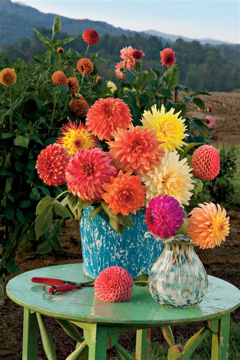 Dahlia Arrangements and Bouquet Ideas