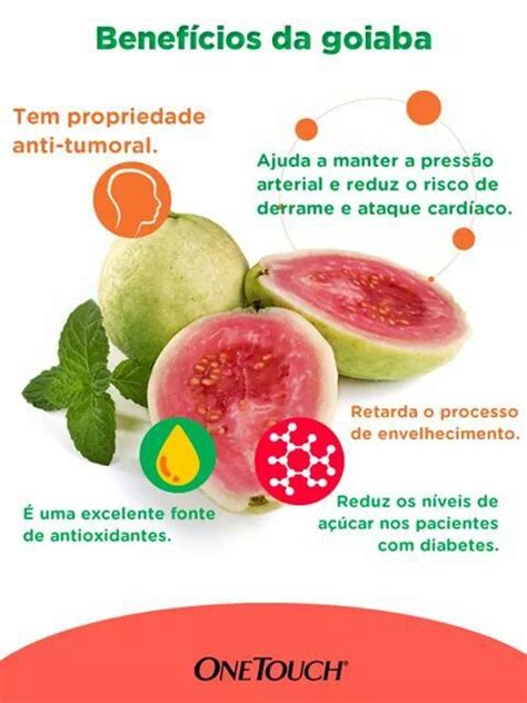 Goiaba Sa De E Nutri O Alimenta O E Sa De Benef Cios Da Goiaba