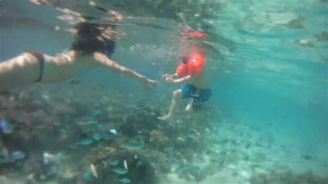 Shallow water snorkeling in Fiji at Musket Cove Island Resort, Day 4 in ...