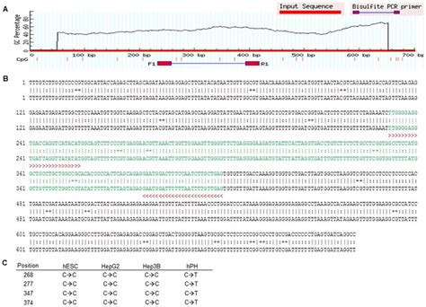 Bisulfite Sequencing Analysis Of The Predicted Promoter Region Of