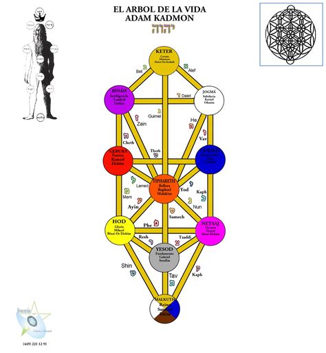 EL ARBOL DE LA VIDA El Árbol de la Vida de la Cábala