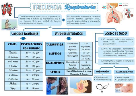 Que Es La Frecuencia Respiratoria Y Sus Valores Normales Login Pages Info