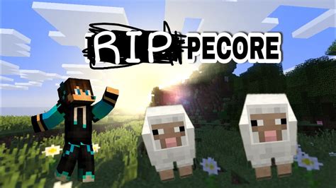 RIP Pecore Minecraft Vanilla YouTube