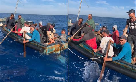 Balseros cubanos son socorridos por pescadores tras 12 días en el mar