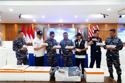 TNI AL Dan KKP Gagalkan Penyelundupan Ratusan Ribu Benih Bening Lobster