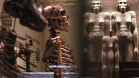 Smithsonian Opens Human Evolution Hall Cbs News