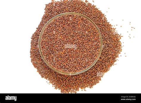 Rai Seed Whole Rai Mustard Seed In Bowl Isolated On White Stock