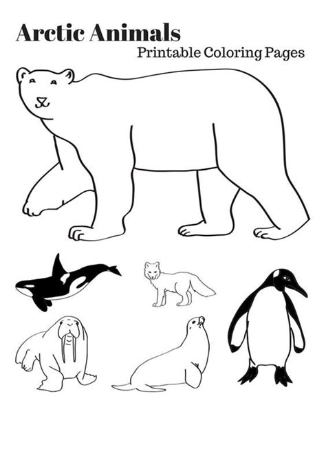 Arctic Habitat Coloring Pages