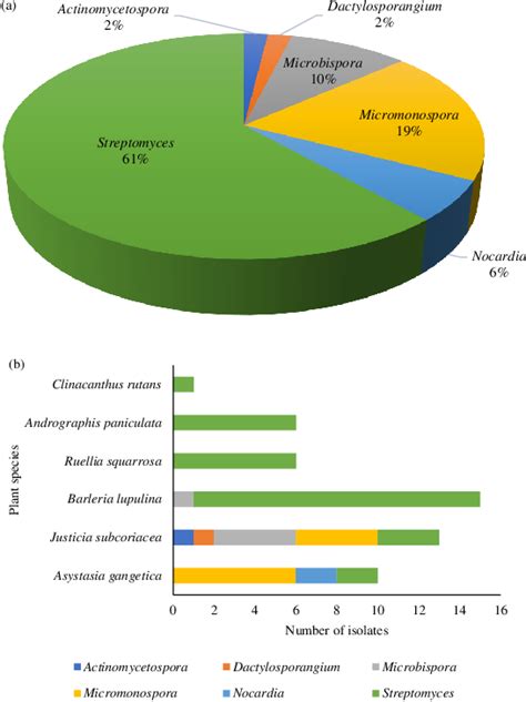 Figure 1 From Diversity And Antimicrobial Activity Of Culturable