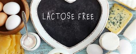 Lactose Intolerant Population Drives Surge In Lactose Free Dairy