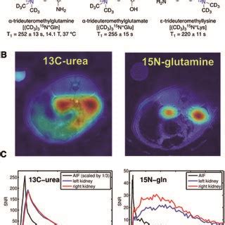 Hyperpolarization Of The Nuclear Spin Population To Enhance NMR Signals