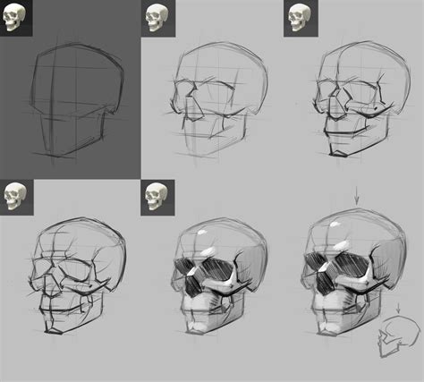 skull on Pinterest | Skull Reference, Skulls and Simple Skull Drawing