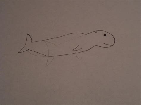 Beluga whale by 110842 on DeviantArt