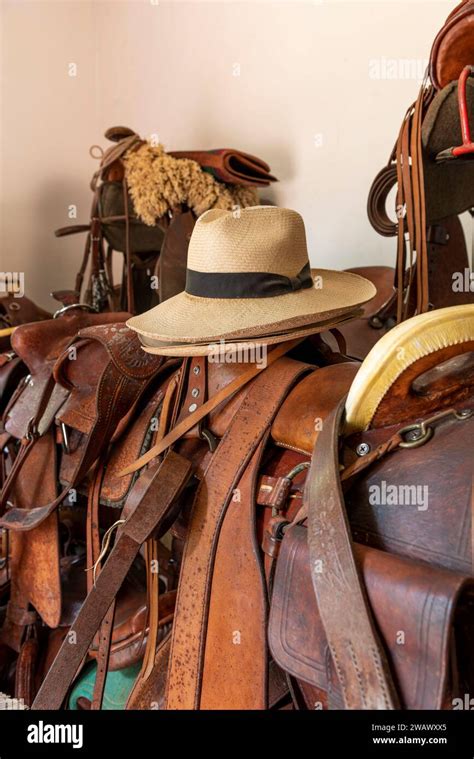 Horse Saddles Harness Buckles And Reigns Stock Photo Stock Photo Alamy