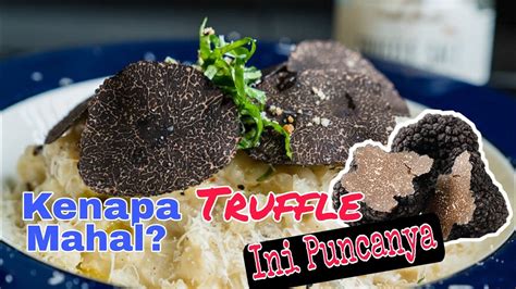 Apa Itu Truffle Kenapa Ia Tersangat Mahal Ini Sebabnya YouTube