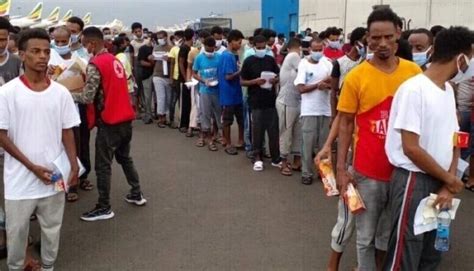 1 254 Ethiopian Migrants Repatriated From Saudi Arabia Ethiopian Monitor