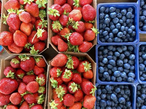 A Marsala Il Primo Simposio Su Fragola E Piccoli Frutti Colture Protette