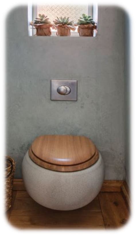 Best Small Toiler - Best Toilet For Small Space