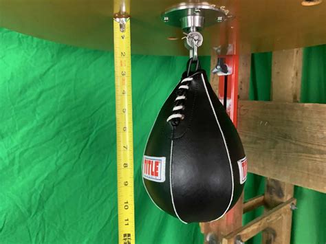 Title Lightning Fast Speed Bag Review Speed Bag Labs