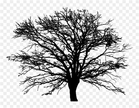 Free Leafless Tree Silhouette Drawing 5x7area Rug Free