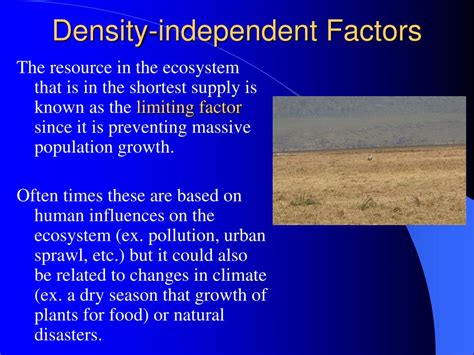 Ppt Population Ecology Powerpoint Presentation Free Download Id6147597