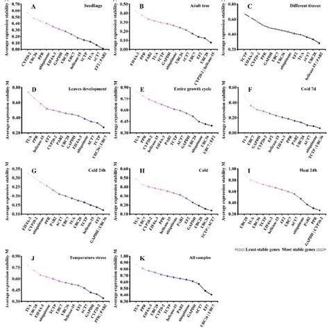 Ranking Of Expression Stability Of The 14 Candidate Reference Genes In