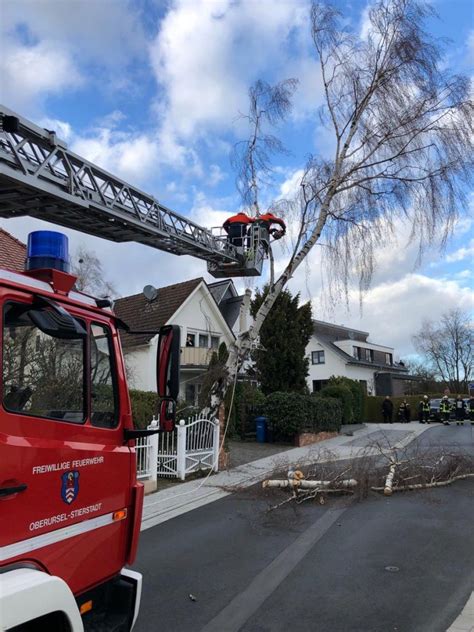 Baum Droht Auf Fahrbahn Zu St Rzen Feuerwehr Stierstadt