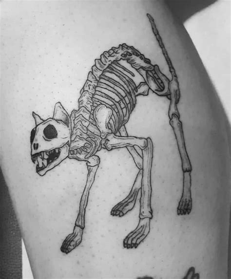 M S De Tatuajes De Calaveras De Gato Que Son Realmente Buenos