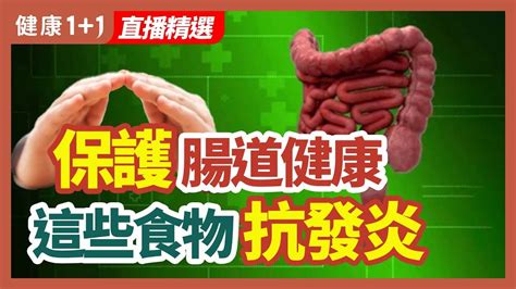 保護腸道健康 這些食物抗發炎 健康11 · 直播精選 Youtube