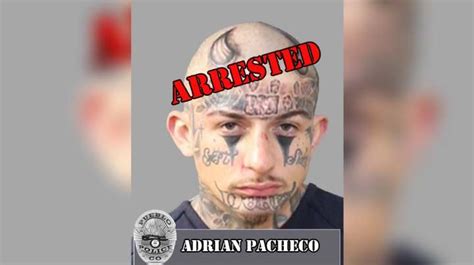 Man Wanted For Homicide Out Of Fort Collins Arrested In Pueblo Fox21