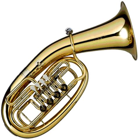 Bariton Euphonium Musikschule Friedrichsdorf E V