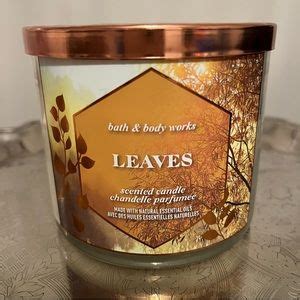 Bath Body Works Accents Bath Body Works Nwt Leaves 3 Wick Candle