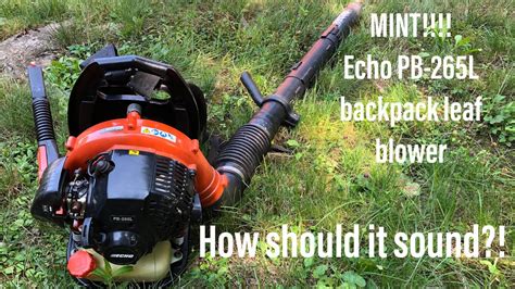 Echo Pb L Backpack Leaf Blower Idle And Full Throttle Rev Youtube