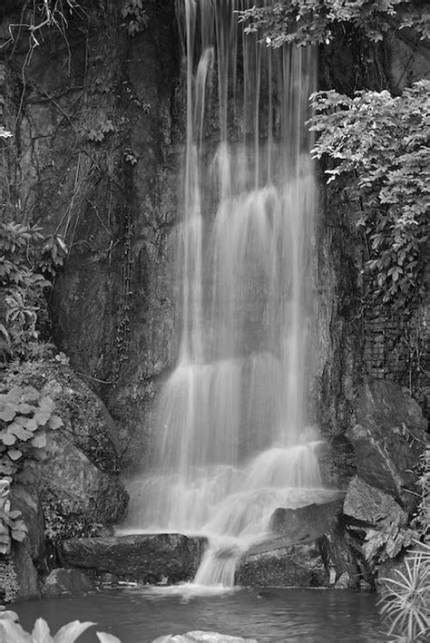 Beautiful Waterfall in Black and White · Free Stock Photo