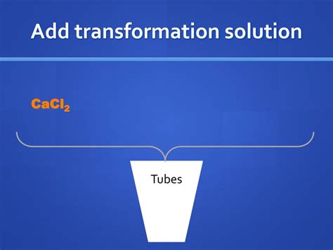 Ppt Bacterial Transformation Powerpoint Presentation Free Download