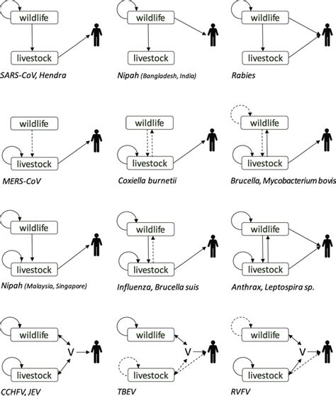 Animal Board Invited Review Risks Of Zoonotic Disease Emergence At The