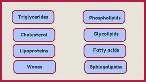 16 Examples Of Lipids