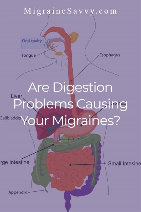 Digestion Problems And Migraine Is Your Gut Behind Your Headaches