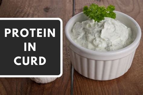 Protein In Curd - Veg Fit