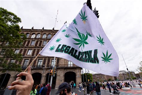 Marihuana Legal Los Países Que Han Legalizado El Uso Del Cannabis