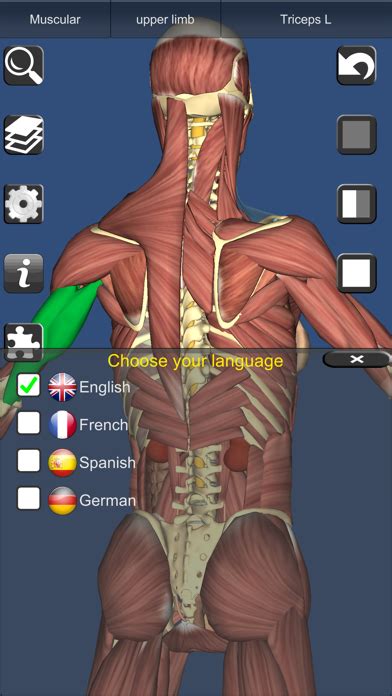 3d Anatomy Learning Medicinapps