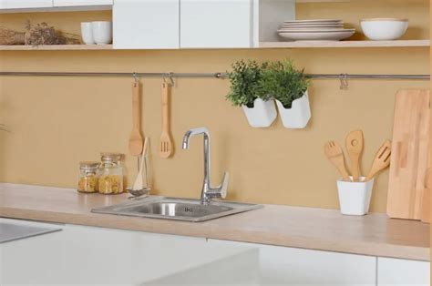 Sherwin Williams Dakota Wheat Sw 9023 30 Real Pictures