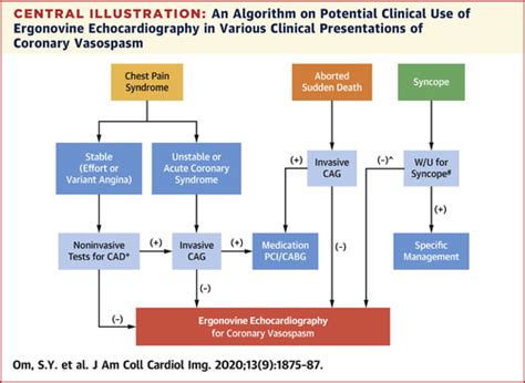 Diagnostic And Prognostic Value Of Ergonovine Echocardiography For