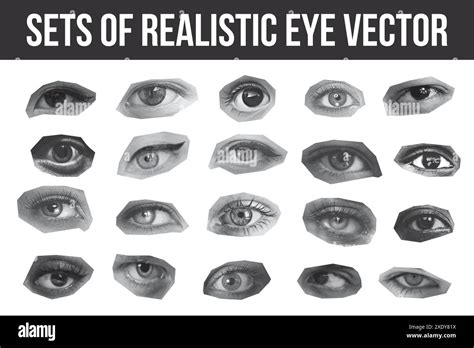 Sets Of Black And White Cropped Realistic Eyes Vector Collage Design