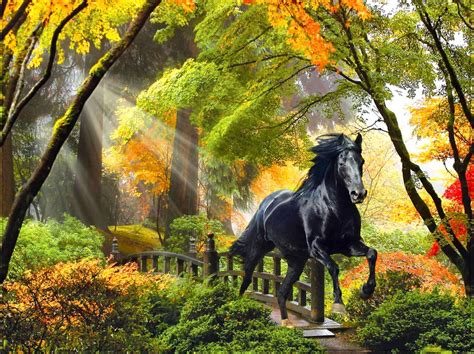 Autumn Tree Horse Wallpapers - Wallpaper Cave