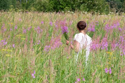 Mujer Joven Recogiendo Flores De Ivan Tea Chamerion Angustifolium