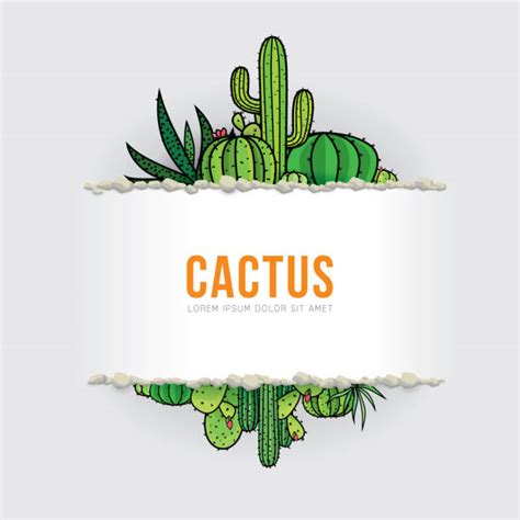 Cactus Borders Illustrations Royalty Free Vector Graphics And Clip Art