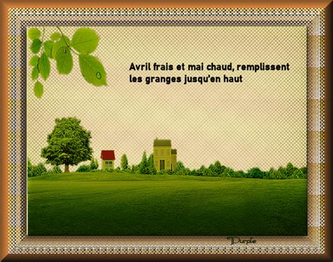 Dicton Du Jour 13 Avril 2023