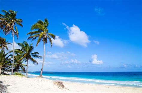 Premium Photo | Beautiful aerial view of maldives and tropical beach ...