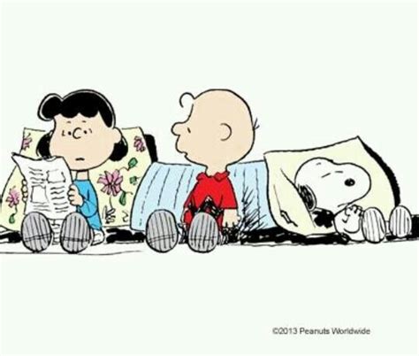 Pin By Juliet Boag On Charlie Brown And The Gang Snoopy Cartoon